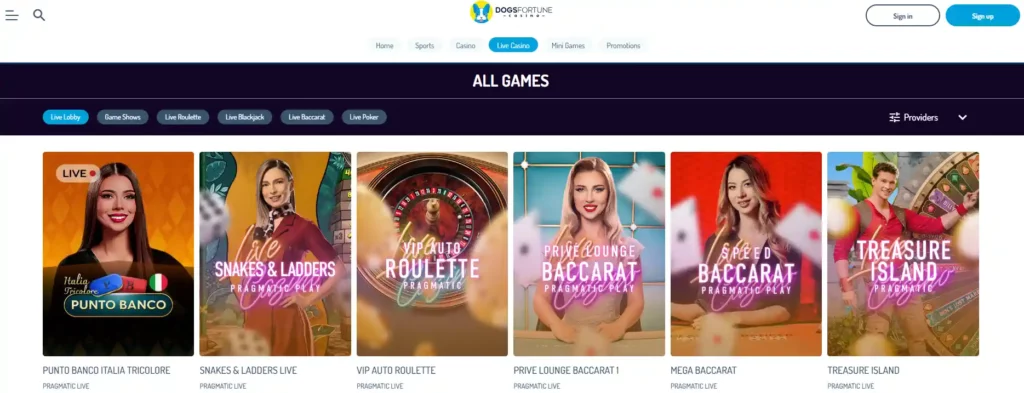 dogsfortune live casino